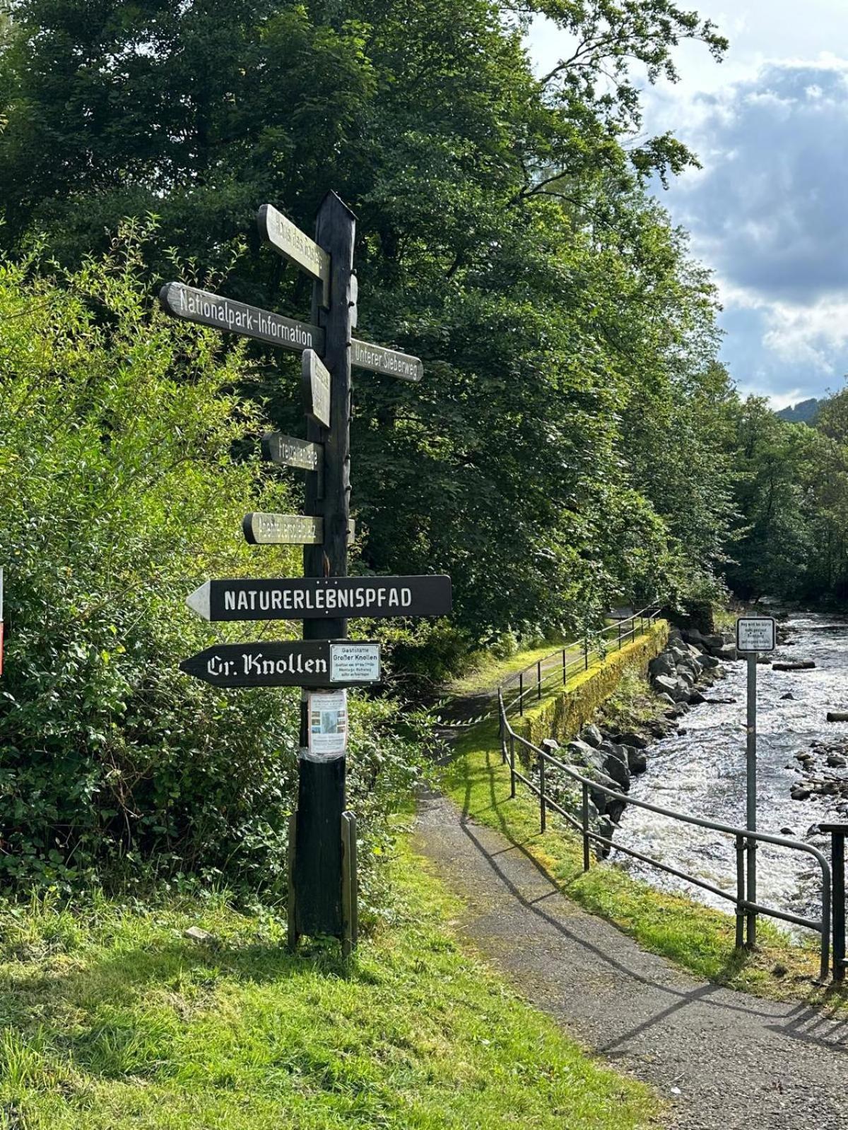 Ferienbutzen Harz Heikenberg, Bad Lauterberg Mit Schwimmbad Und Sauna Exterior foto